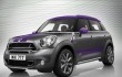 2015 Mini Countryman Park Lane