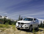 2014 BMW X5 F15