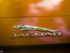 2014 Jaguar F-type V-8 S Roadster