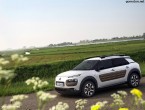 2015 Citroen C4 Cactus