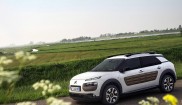 2015 Citroen C4 Cactus