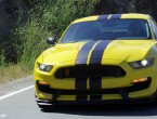 2016 Ford Mustang Shelby