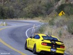 2016 Ford Mustang Shelby GT350R