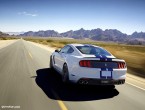 2016 Ford Mustang Shelby GT350