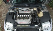 Alfa Romeo GTV 32 V6 24v