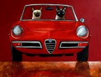 Alfa Romeo Spider 20 CAT