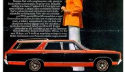 AMC Rambler Rebel Briarcliff