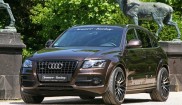 Audi 8R Q5