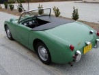 Austin Healey Sprite Frogeye