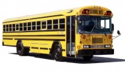 Blue Bird School Bus