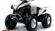 BRP Can-Am Renegade 800 4x4