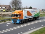 DAF XF 400