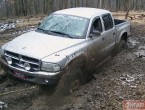 Dodge Dakota 39 Quad Cab