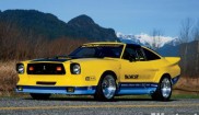 Ford Monroe handler mustang II