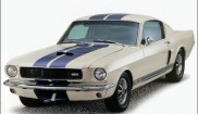 Ford Mustang GT 350 20th Anniversary