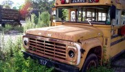 Ford School Bus