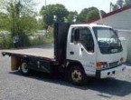 Isuzu Flatbed