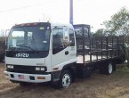 Isuzu Flatbed