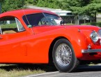 Jaguar XK120 coupe