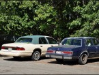 Mercury Grand Marquis GS Diplomat