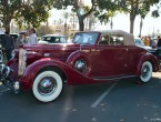 Packard 1201 Cabriolet