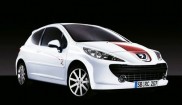 Peugeot 207 Le Mans Series