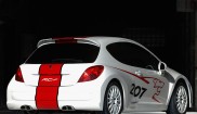 Peugeot 207 Rcup