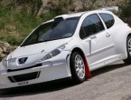 Peugeot 207 S2000