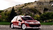 Peugeot 207 WRC