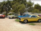 Plymouth Cuda AAR clone