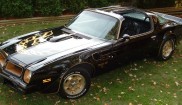 Pontiac Firebird Trans Am Special Edition