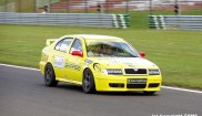 Skoda Octavia cup