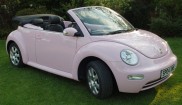 Volkswagen Bettle