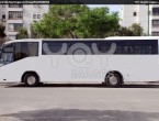 White Bus