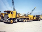 White Freightliner coe