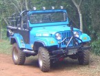 Willys CJ-5 Jeep