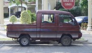 Wuling LZW1010PLNEil